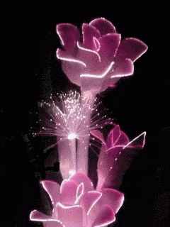 you-are-beautiful-changing-colors.gif