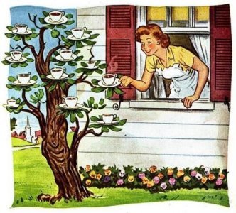 coffee_tree.jpg