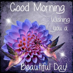 250358-Good-Morning-Wishing-You-A-Beautiful-Day-Spring-Quote.jpg