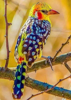 spots040922.jpg