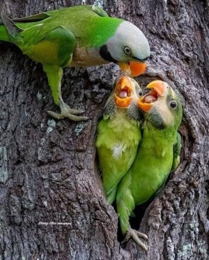 motherslove040822.jpg