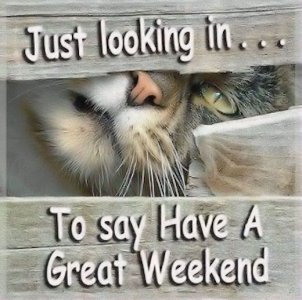 e5483f755180bf4120e9e3db4a60b464[1].jpg