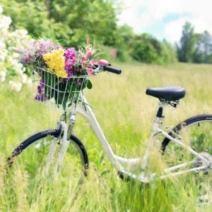 nature-spring.jpg