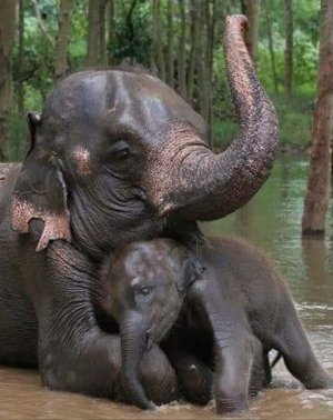 motherslove041522.jpg