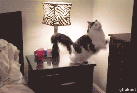 a97e5006c8234225ccf88e9b07361c1b.gif