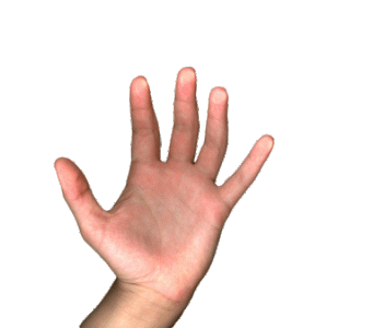 hands[1].gif