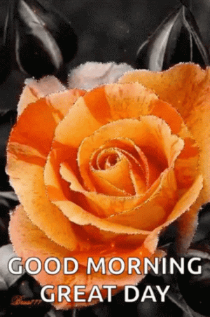 good-morning-flowers.gif