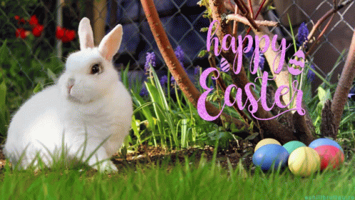 happy-easter-holy-easter.gif