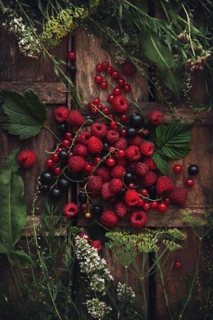 tumblr_9f211ef2a1defb6081d098ca2b7c8869_3ce3e768_1280.jpg