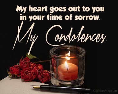 6ce640ba8f2b795de7b54e51e4f41101[1].jpg