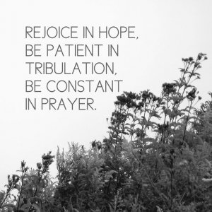 Romans 12 12.jpg Romans 12 12.jpg