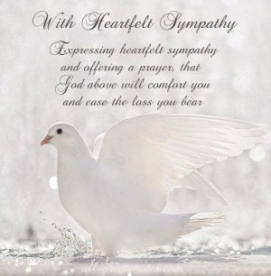 dove.jpeg
