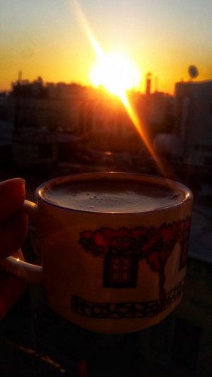 12E892EC-2A9D-43CB-821F-0252F8105FF1.jpeg