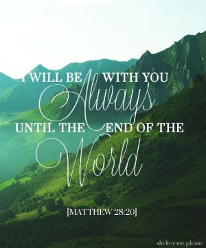 BibleQuoteMatthew.jpg BibleQuoteMatthew.jpg