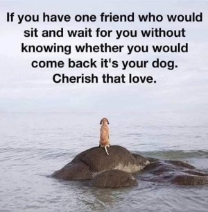 best friend.jpg