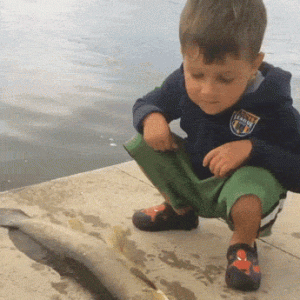 7a35c2d717904b5fea757edc5a061149.gif