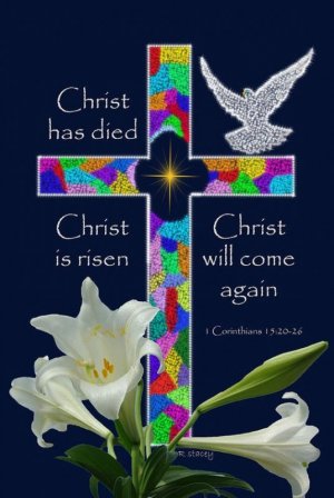 9b2d96e17dc76f3a6fb5b0bc906061c1[1].jpg