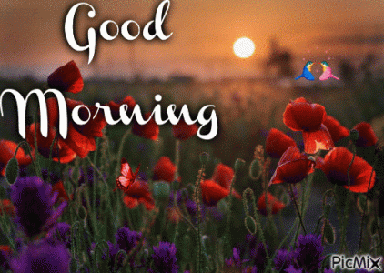341947-Nature-Sunrise-Good-Morning-Quote-Gif.gif