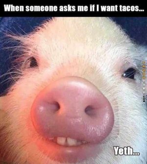 5b2dcff04bd664c42484b917344ee6f4[1].jpg