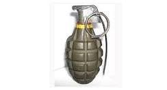 Image result for hand grenade photos