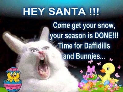 come get your snow.jpeg