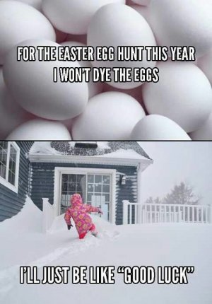 It's Spring - It's Easter - It's Snowing - It's….jpeg