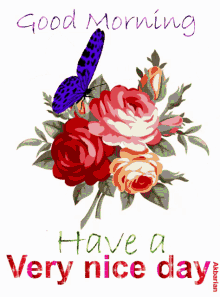 2f4568daaff3e7cb2924af41cfa52c81[1].gif