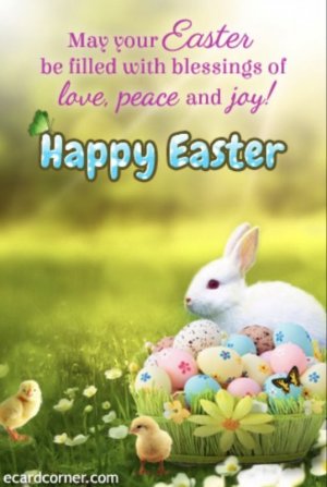 eed681e54452b4e960f80bb75b6a1aec[1].jpg