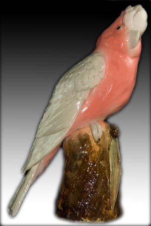 galah.jpg