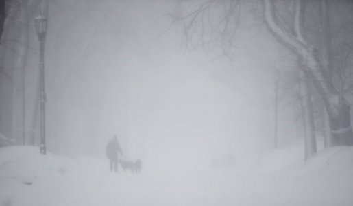 snow.jpg