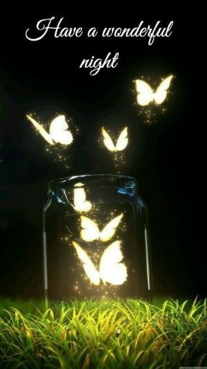 347610-Glowing-Butterfly-Wonderful-Night.jpg