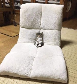 tumblr_b22d5a8613e96e5df9e1ea522abe0648_17344655_640.jpg