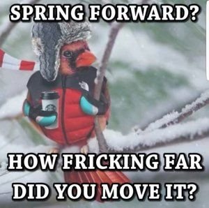 Top 10 Funny Spring Snow Memes That Will Keep You Laughing For Hours - Empire BBK.jpeg