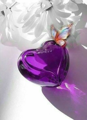 tumblr_7022840f198be326a90b77359504729d_7768f843_400.jpg