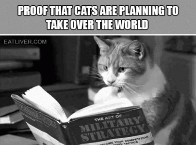 funny-gifs20war.gif