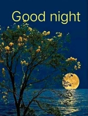 gud-night-9_compress20-382x500.jpg