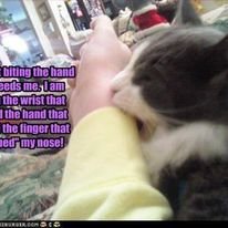 BOOP.jpg