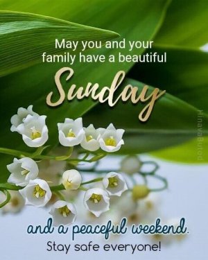 0c100f1d16656d4602cbd5d1e5a9b794[1].jpg