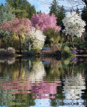 5d0ca41dc771f82716b29e927437ff49.gif