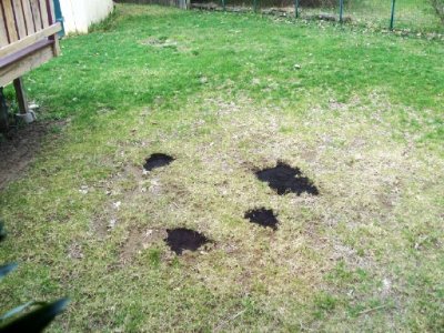 holes.jpg