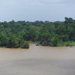 Amazon River.jpg