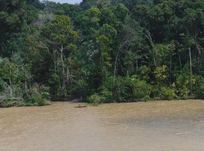 Amazon River4.jpg