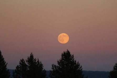 late summer moon.jpg