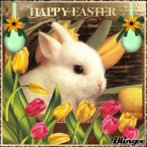 Easter Bunny.gif