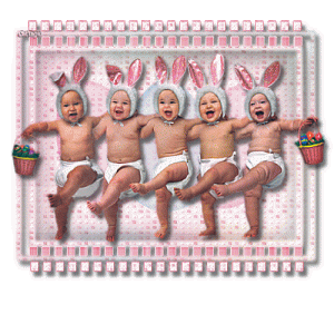 Bunny Babies copy.gif