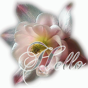 9f7116b163b5ba95f086173dda7bcc63[1].gif