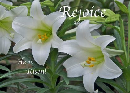 risen1.jpg