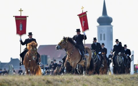 germany horses.jpg