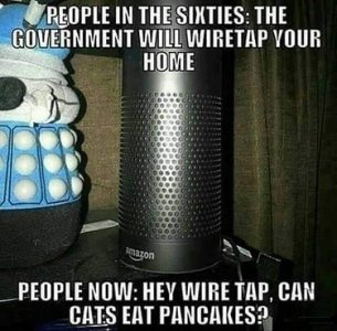 241048637_10218807541770903_6367421643555873119_n.jpg