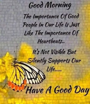FB_IMG_1649681982845.jpg